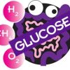 Glucose USP Substrate - 75 Gram Tests