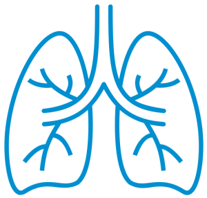 Lung B