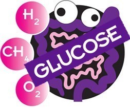 glucose substates
